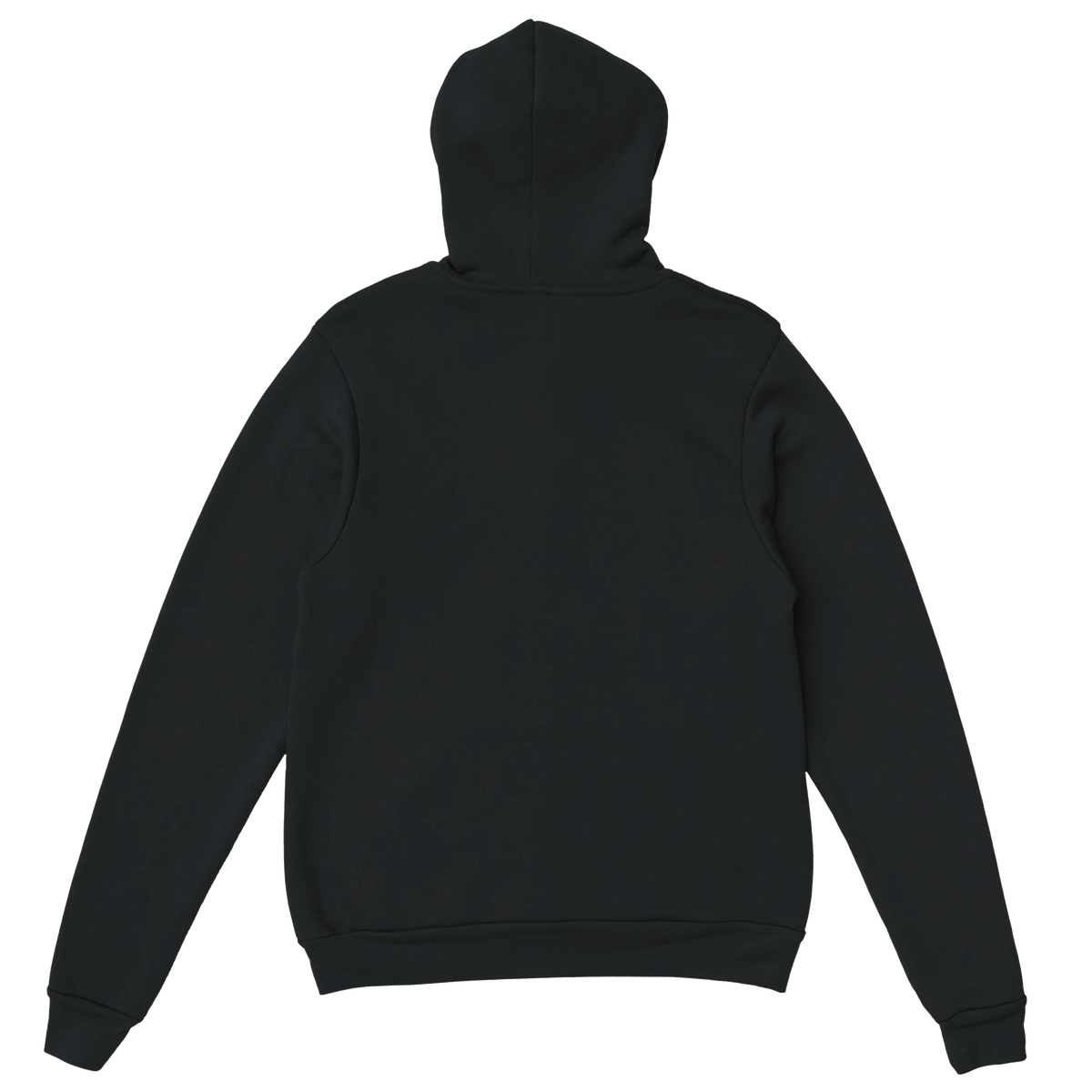Back view of black TNT Fitness Gear unisex pullover hoodie showing the hood, long sleeves and ribbed waistband.