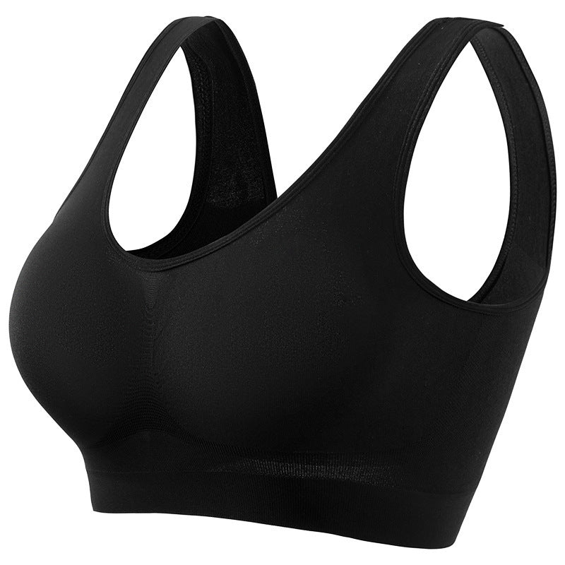 Plus Size Sports Underwear - Padded, Seamless, Breathable Fitness Bra - TNT Fitness